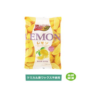 m[XC  EFbWJbg Ⓚʎ 500g 1  Ɩp lC ֗ AtJY1/6Jbg 30±5iڈjJNe◿ɂg鐶Y { H