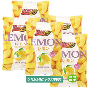 m[XC  EFbWJbg Ⓚʎ 500g 5  lC Ɩp ֗ e AtJY {H ƈ JNep fU[g1/6Jbg 30±5iڈjhNɂ