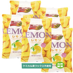 m[XC  EFbWJbg Ⓚʎ 500g 6 Ɩp 1/6Jbg AtJY {H  lC e ƈ JNep fU[g30±5iڈjŎg₷h
