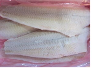 Ⓚ 炷ꂢtB[ @1kgmⓀ Ɩp JXJCn