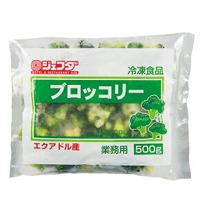 JFDA ubR[ GNAhY IQF 500g Ⓚ ƖpWFt_ o Jbg ubR[ y؁ET_Et킹ɕ֗