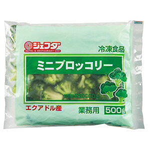 JFDA ~jubR[ GNAhY 20/40mm 500g Ⓚ ƖpWFt_ o Jbg ubR[ y؁ET_Et킹ɕ֗