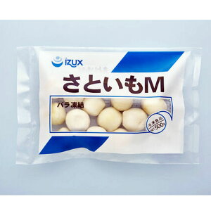 CYbNX ⓀƂ MTCY 500g YⓀ o Ɩp y   TgC ϕp