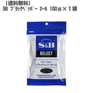 SB ZNg XpCX ubNybp[ z[ 傤 100g 1  lC ƒp Ɩp 1000~|bL