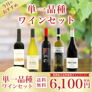 【送料無料】今月のおすすめ単一品種ワイン5本セットラカンパーニュカベルネソーヴィニヨンレアヴィンヤーズシャルドネヴィニコラデルサンニオアリアニコベネヴェンターノモンカロレヴェーレヴェルディッキオクラッシコハロンプントイコマ