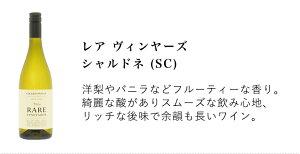 【送料無料】今月のおすすめ単一品種ワイン5本セットラカンパーニュカベルネソーヴィニヨンレアヴィンヤーズシャルドネヴィニコラデルサンニオアリアニコベネヴェンターノモンカロレヴェーレヴェルディッキオクラッシコハロンプントイコマ