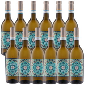 tFEh A` CcHA 750ml×12{mC^A V`A C h CcHA NIKKEIvX1 | V`Anyŷ܂݂ŃCIzm12{Zbgnm