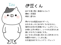 楽天市場 まるもちすぺしゃる もちもち 丸クッション まんまる ぬいぐるみ 猫 ネコ ねこ かわいい 雑貨 おかえり園田君 雑貨 黒部 三村 戸田 阿部 園田君 クッション インテリア雑貨 Dona Paula 楽天市場 まるもちすぺしゃる もちもち 丸クッション まんまる ぬいぐるみ 猫 ネコ ねこ かわいい 雑貨 おかえり園田君 雑貨 黒部 三村 戸田 阿部 園田君 クッション インテリア雑貨 Dona Paula