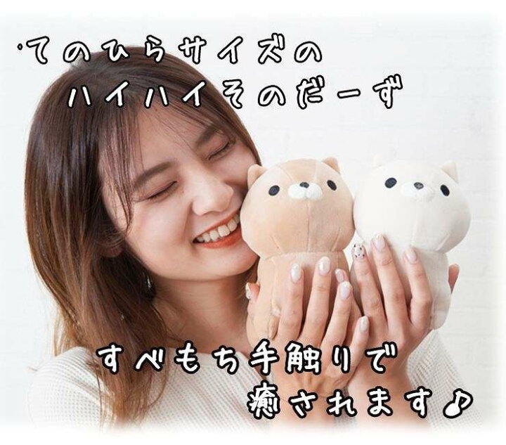 楽天市場 ランキング一位獲得 ハイハイそのだーず おかえり園田くん ぬいぐるみ 人形 猫 ねこ ネコ 小さい 可愛い かわいい ギフト プレゼント 贈り物 インテリア雑貨 Dona Paula