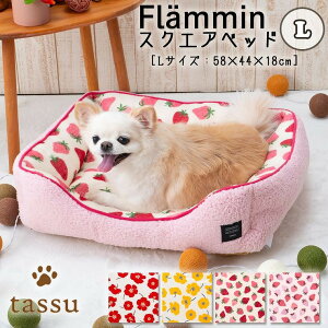 XNGAxbhL 58×44×18cm t~ ybgxbh tassu ^bX tl {A k ԕ ͂ [jE  C`S    Ck L lR ˂ ybg ybgp xbh Ce