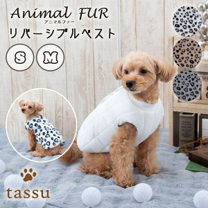 y2TCYWJzo[VuxXg ybgp xXg o[Vu  2WAY ѕz EFA Aj}t@[ tassu ^bX t@[ Aj} qE ӂӂ  f   Ck 