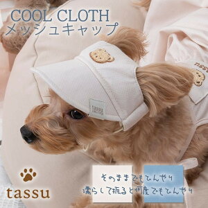 ybgpLbv STCY MTCY G炵 Ђ ₽ COOL CLOTH N[NXEFA tassu ^bX  L Xq ybg   hbOEFA ybgEFA t   킢 U