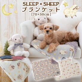 ペットブランケット ひつじ柄 ボア 毛布 犬 猫 あったか 冬用 70×50cm 防寒 寒さ対策 ふわふわ もこもこ お昼寝ケット ペットマット 敷物 ソファ ベッド用 室内用 ペット用品 おしゃれ かわいい SLEEP×SLEEP tassu タッス 168-6272