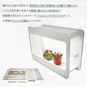 y11/1z |Cgő20{ő400~N[|zzbA琬LEDCg GOAL ܂ nI`A AK R[fbNX n[u