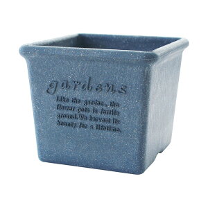 y12/1z |Cgő20{ő400~N[|zzbGR|bgp^150lCr[