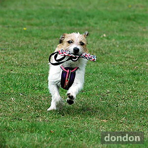 ő400~N[|zzbEZr[o[eCLVс