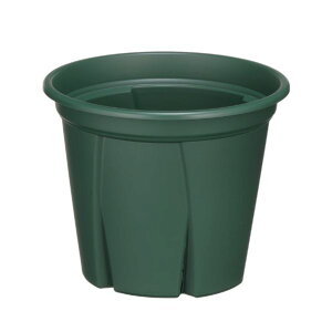 y11/1z |Cgő20{ő400~N[|zzb悵6 O[ AbvEFA[