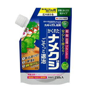 y11/1z |Cgő20{ő400~N[|zzbigbNX 250g ZFw|