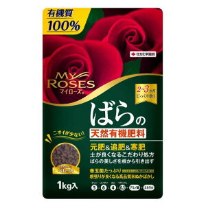 }C[Y ΂̓VRL@엿 1kg ZFw|