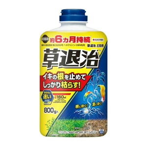 ���ގ�E���� 800g �Z�F���w���|