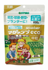 y11/1z |Cgő20{ő400~N[|zzb}O@veco 200g nC|lbNX