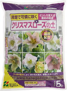 NX}X[Y̓y5LԂ뉀|piEK[fjOpi