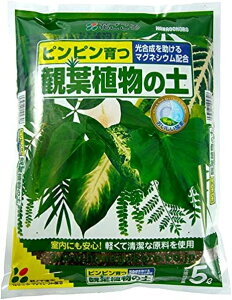 ϗtA̓y5LԂ뉀|piEK[fjOpi