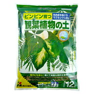 花ごころ 観葉植物の土 12L 園芸用品 家庭菜園