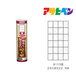 ATqy NEW邭\₷q 25cm×22.5m  9113 q