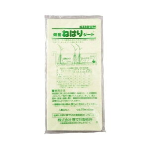 ő400~N[|zzb˂͂V[g20[А쏊K[fjO|pi