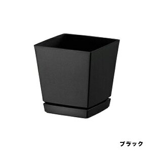 y11/1z |Cgő20{ő400~N[|zzbNG`[|bgv[gt4ubNavX`bN|piEK[fjOpi