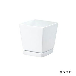 y11/1z |Cgő20{ő400~N[|zzbNG`[|bgv[gt5zCgavX`bN|piEK[fjOpi