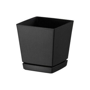 y11/1z |Cgő20{ő400~N[|zzbNG`[|bgv[gt5avX`bNubN|piEK[fjOv^[