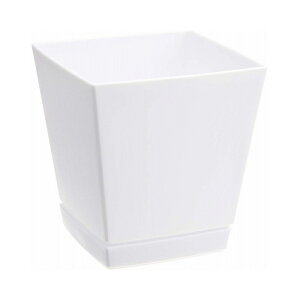 ő400~N[|zzbavX`bNNG`[|bgv[gt6zCgAv^[