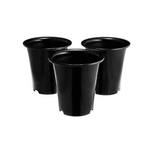 ő400~N[|zzbm83ZbgavX`bNubN|piEK[fjOv^[