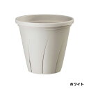 【11/1限定】 ポイント最大20倍＆最大400円クーポン配布｜根はり鉢8号ホワイト大和プラスチック園芸用品・ガーデニング用品