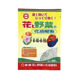 ԂƖ؂̉엿400G|piEK[fjOpi