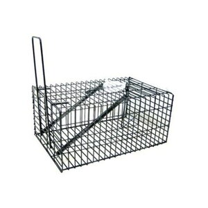 ubNEp^nEXRp|piK[fjOpilY~߂