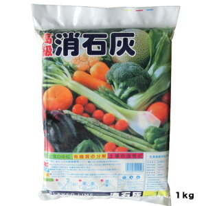 ΊD1KGHƉ|piEK[fjOpi엿