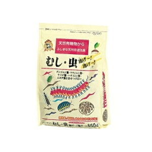 ނE 650g JOYAOX K[fjO |pi