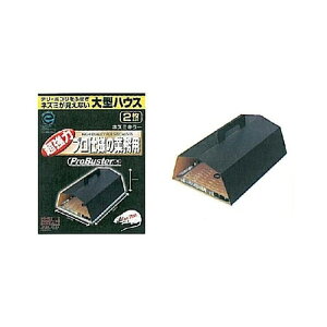 SHIMADA voX^[ lY~L[ 2Zbg lY~AlY~΍AlY~쏜