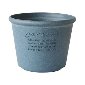 y11/1z |Cgő20{ő400~N[|zzbGR|bg^8lCr[iNVj|piEK[fjOpi