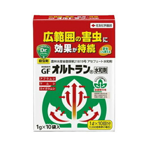 y11/1z |Cgő20{ő400~N[|zzbZFw|Iga1X10Q΍