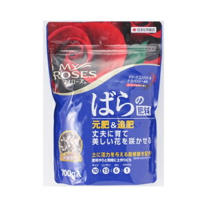 }C[Y΂̔엿700gZFw|K[fjO|pi