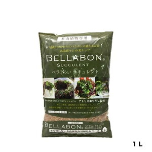 x{TLg1LtWbN|piEK[fjOpiV̎`bv