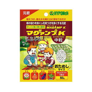 }OAvK܃^Cv50GnC|lbNX|piEK[fjOpi