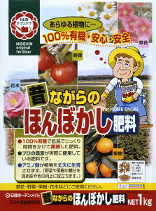 ̂Ȃ̂قڂ엿1KG|piEK[fjOpi