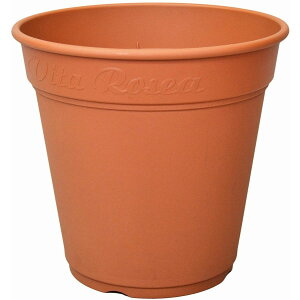 y12/1z |Cgő20{ő400~N[|zzb[A|bg450^uEAbvEFA[[YK[foAؔ