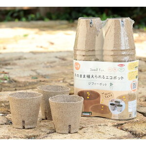 y11/1z |Cgő20{ő400~N[|zzbSFWtB[|bgی^8CM×30PTJ^̃^lK[fjO|piƒ؉