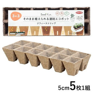 SFWtB[Xgbvp5CM12×5PTJ^̃^lK[fjO|piƒ؉